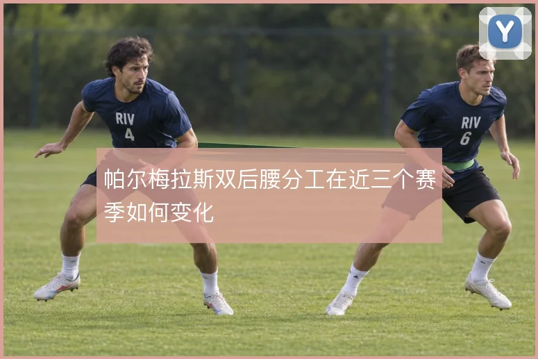 帕尔梅拉斯双后腰分工在近三个赛季如何变化