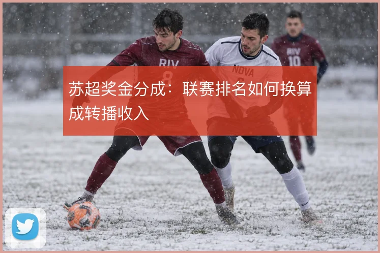 苏超奖金分成：联赛排名如何换算成转播收入