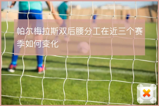帕尔梅拉斯双后腰分工在近三个赛季如何变化
