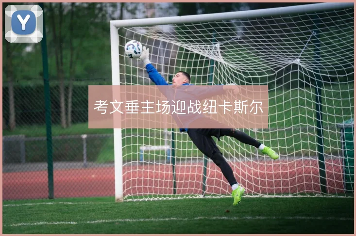 考文垂主场迎战纽卡斯尔